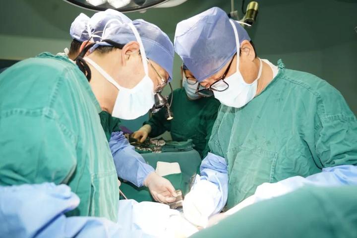 醫(yī)療領(lǐng)域的新突破，最新手術(shù)治療的革新與進步