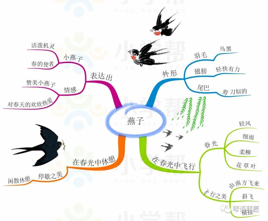 燕子最新版,燕子最新版，任務(wù)完成或技能學(xué)習(xí)步驟指南