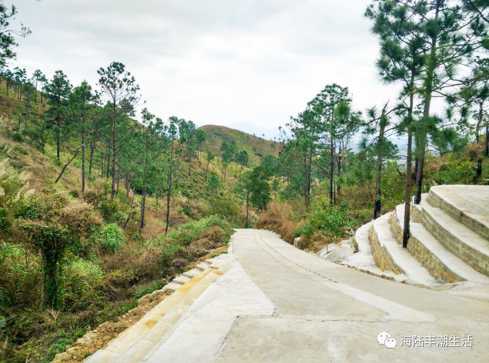汕尾最新道路規(guī)劃詳解，規(guī)劃指南與最新動態(tài)